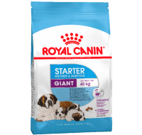 Giant Starter Royal Canin